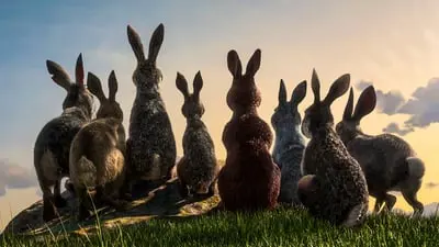 Watership Down_backdropimg
