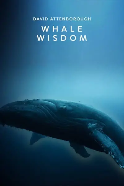 Whale Wisdom_poster
