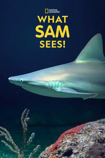 What Sam Sees_poster