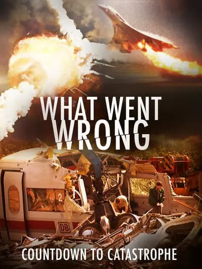 What Went Wrong: Countdown To Catastrophe_poster