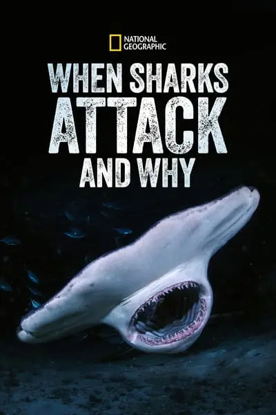 When Sharks Attack... and Why_poster