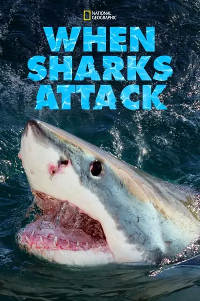 When Sharks Attack_poster