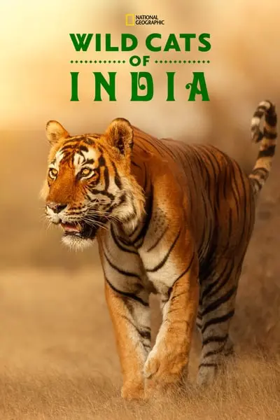 Wild Cats of India_poster