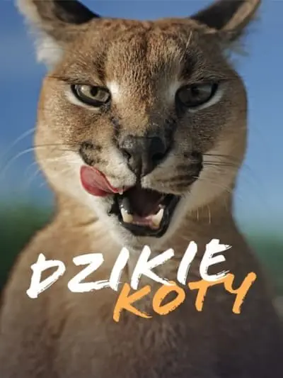Wild Cats_poster