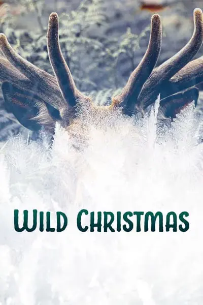 Wild Christmas_poster