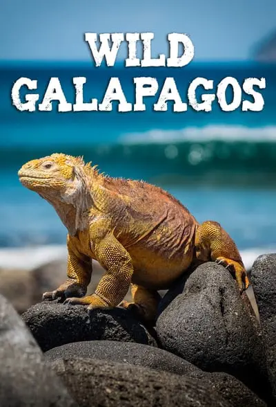 Wild Galápagos_poster