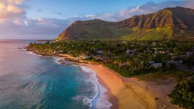 Wild Hawaii_backdropimg