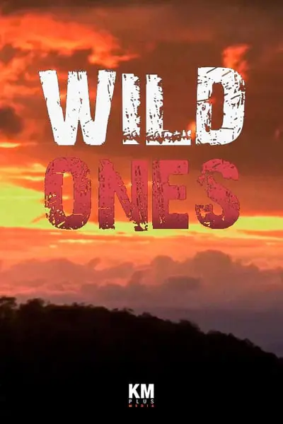 Wild Ones_poster