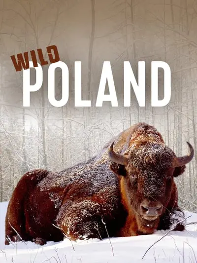 Wild Poland_poster