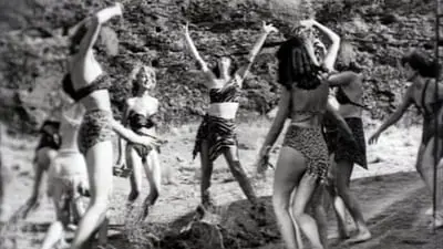 Wild Women_backdropimg