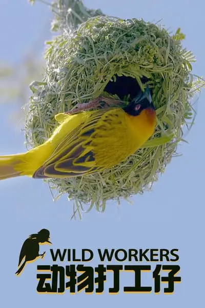 Wild Workers_poster