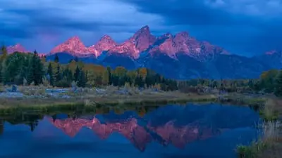 Wild Yellowstone_backdropimg