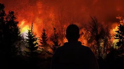 Witness to Disaster_backdropimg