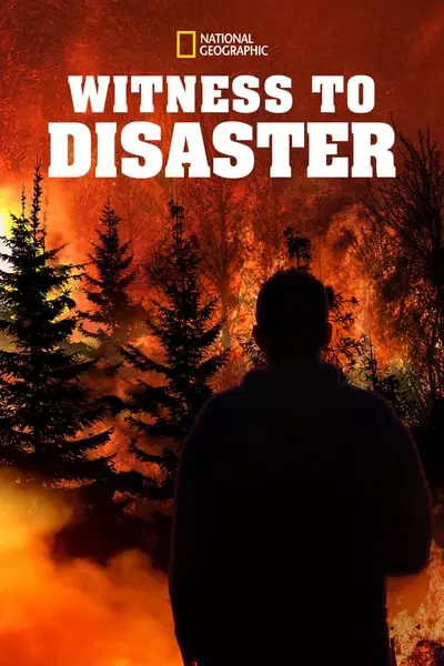 Witness to Disaster_poster