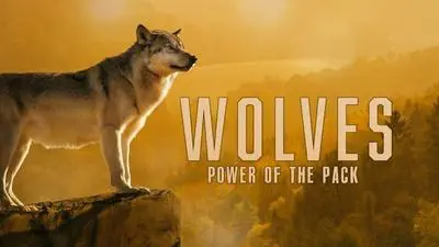 Wolves: Power of the Pack_backdropimg