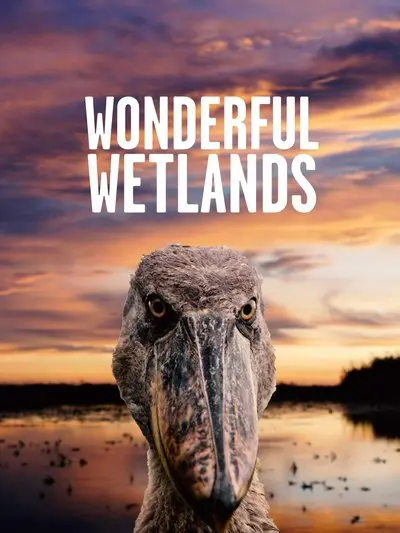 Wonderful Wetlands_poster