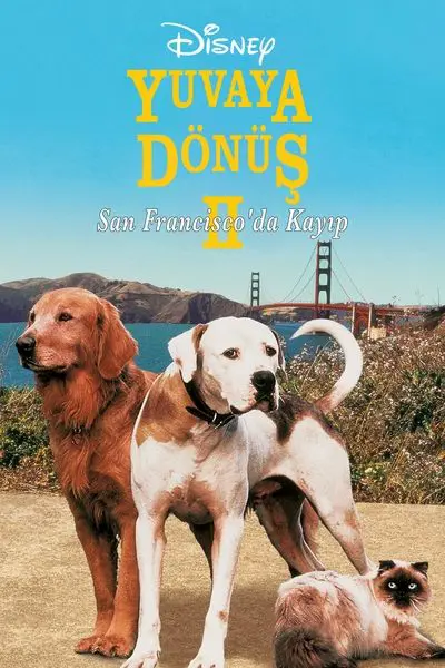 Yuvaya Dönüş II: San Francisco'da Kayıp_poster