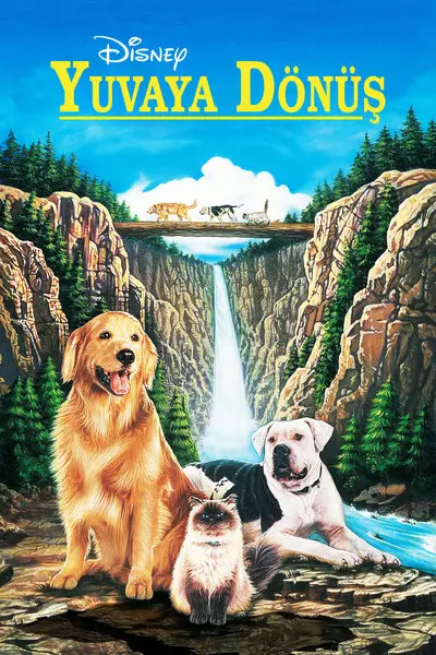 Yuvaya Dönüş_poster