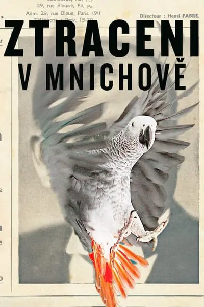 Ztraceni v Mnichově_poster